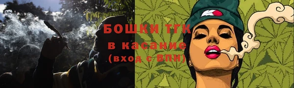 ГАЛЛЮЦИНОГЕННЫЕ ГРИБЫ Арсеньев