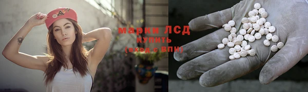 ГАЛЛЮЦИНОГЕННЫЕ ГРИБЫ Арсеньев