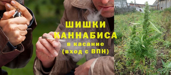 ГАЛЛЮЦИНОГЕННЫЕ ГРИБЫ Арсеньев