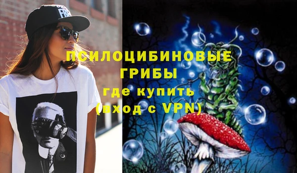 ГАЛЛЮЦИНОГЕННЫЕ ГРИБЫ Арсеньев