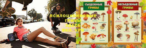ешки Аркадак