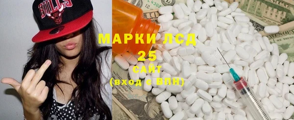 ГАЛЛЮЦИНОГЕННЫЕ ГРИБЫ Арсеньев