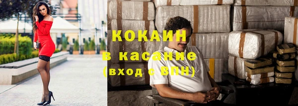 ГАЛЛЮЦИНОГЕННЫЕ ГРИБЫ Арсеньев